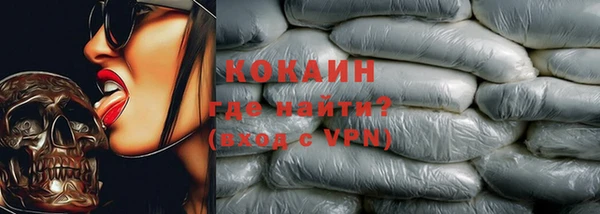 прущие грибы Абаза