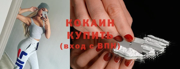 прущие грибы Абаза