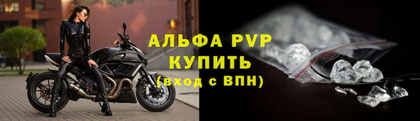 прущие грибы Абаза