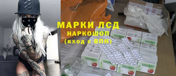 прущие грибы Абаза