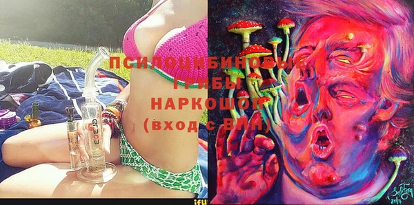 прущие грибы Абаза