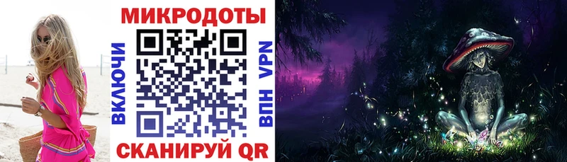 Галлюциногенные грибы Psilocybe Златоуст